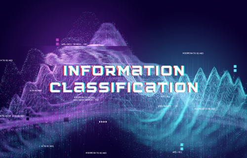 In a class of its own: information classifications in companies